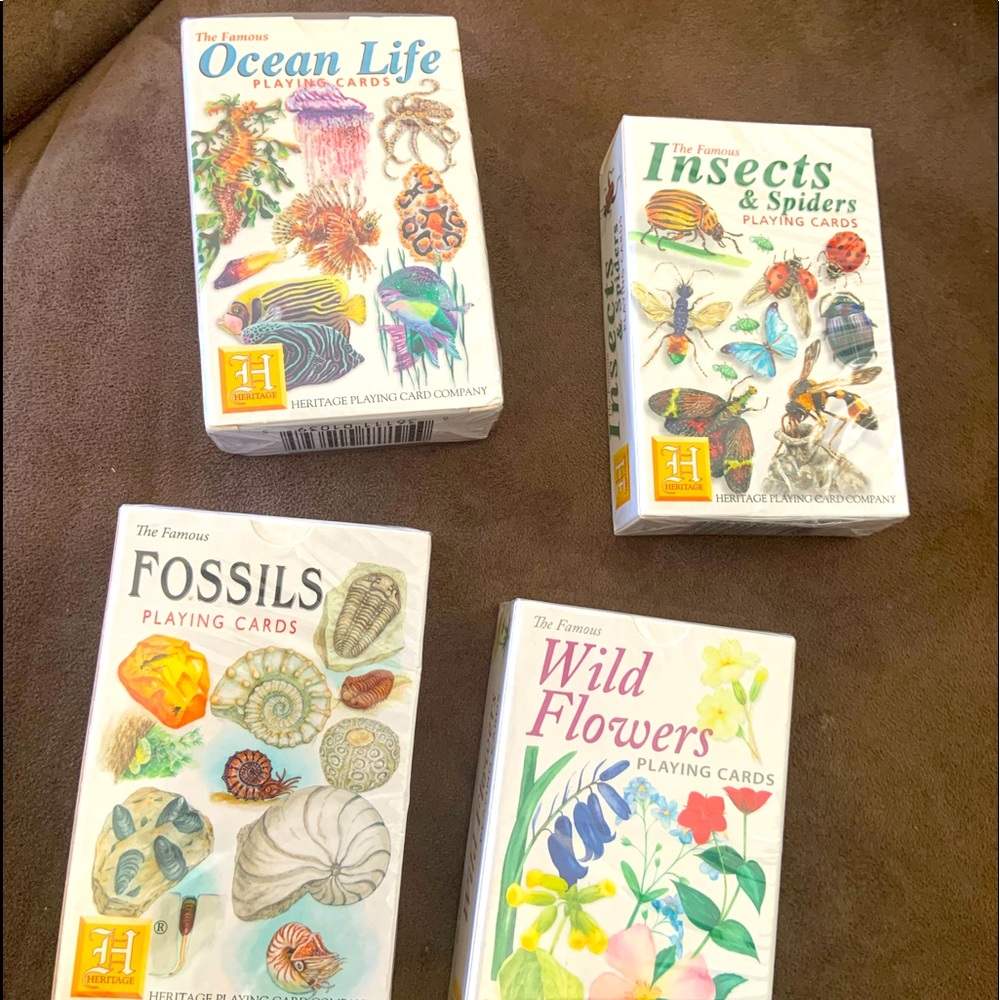 Educational playing cards.